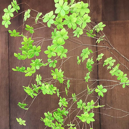 深圳品牌設計作品案例展示