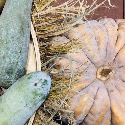 兒童自行車品牌vi設計公司案例作品排行榜