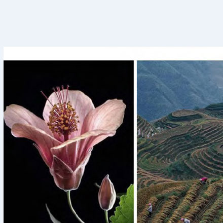 深圳標志設計作品案例展示